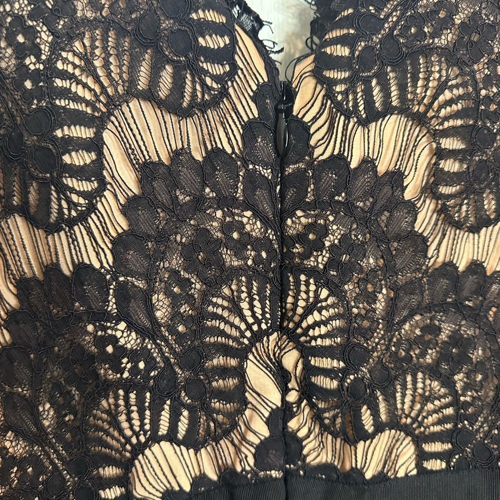 City Chic Black Lace Over Nude Maxi Dress - Picture 9 of 12